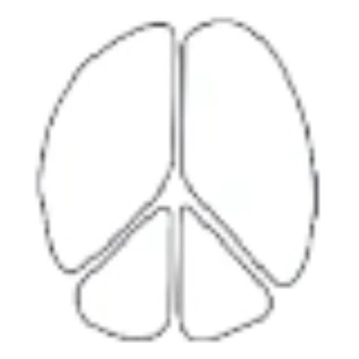 cropped The Hidden Rivet clothing.webp